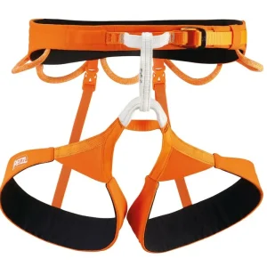 Direct Verzonden Klimgordel Petzl Hirundos Oranje XS