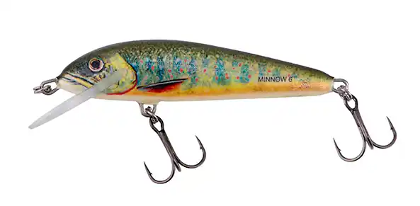 Salmo Minnow 6cm 4gr Floating 0,5-1m Holo Stickleback Voordeelprijs