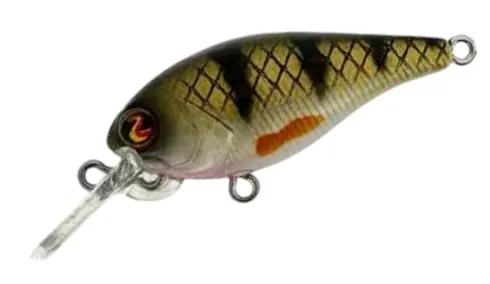 Meest Verkocht River2Sea Biggie 37 DD Plug 3.7cm (3.5g) Gold Nugget