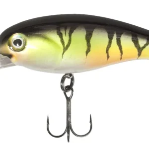 Quantum Acc-Trac 7,5cm Perch Koop Vandaag