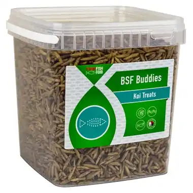 Vivani Gedroogde BSF larven - 400 gram Populair