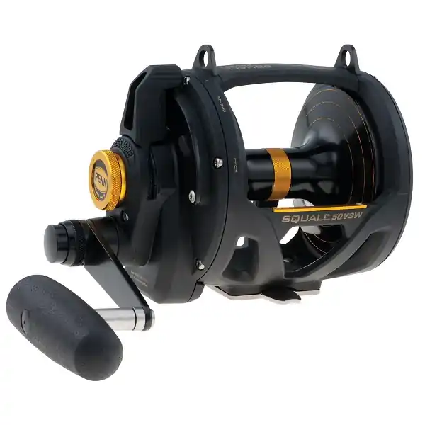 Lage Kosten Penn Squall Lever Drag 2 Speed 50Vsw