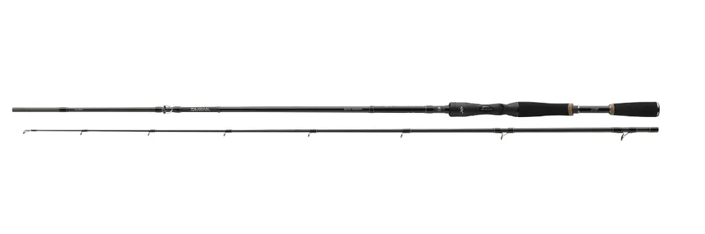 Daiwa Prorex XR Baitcast Hengel 2.40m (40-120g) Betaalbaar