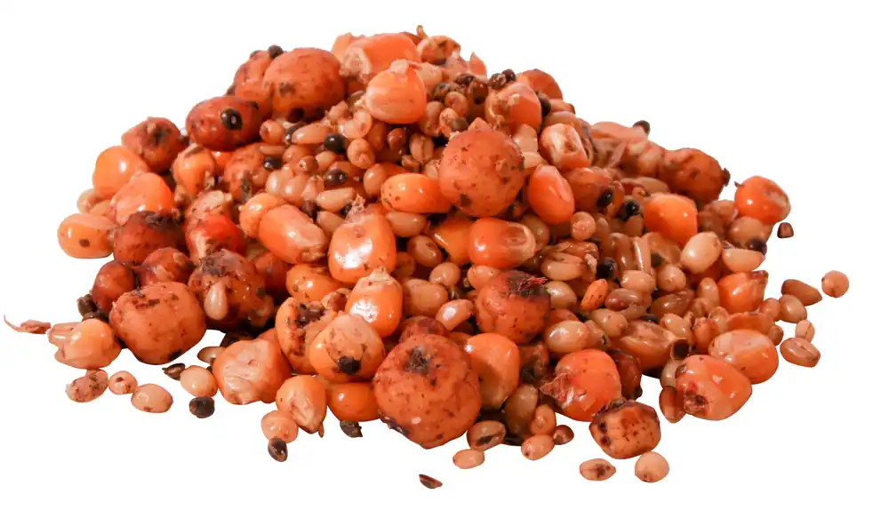 Direct Beschikbaar Ready to Fish Particle Mix - 2,5kg