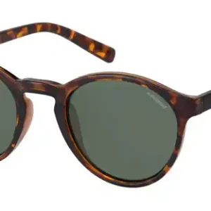 Beperkte Voorraad Polaroid PLD 1013/S Havana Sunglasses