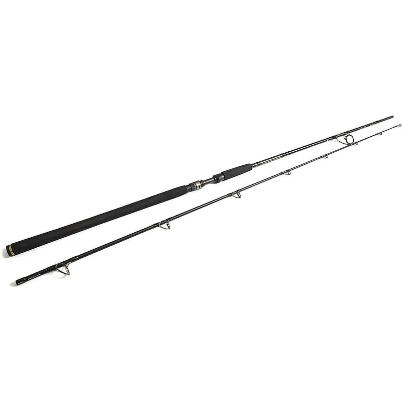 Bestel Nu Westin W3 2nd Powercast XH 248 cm 20-80 gram