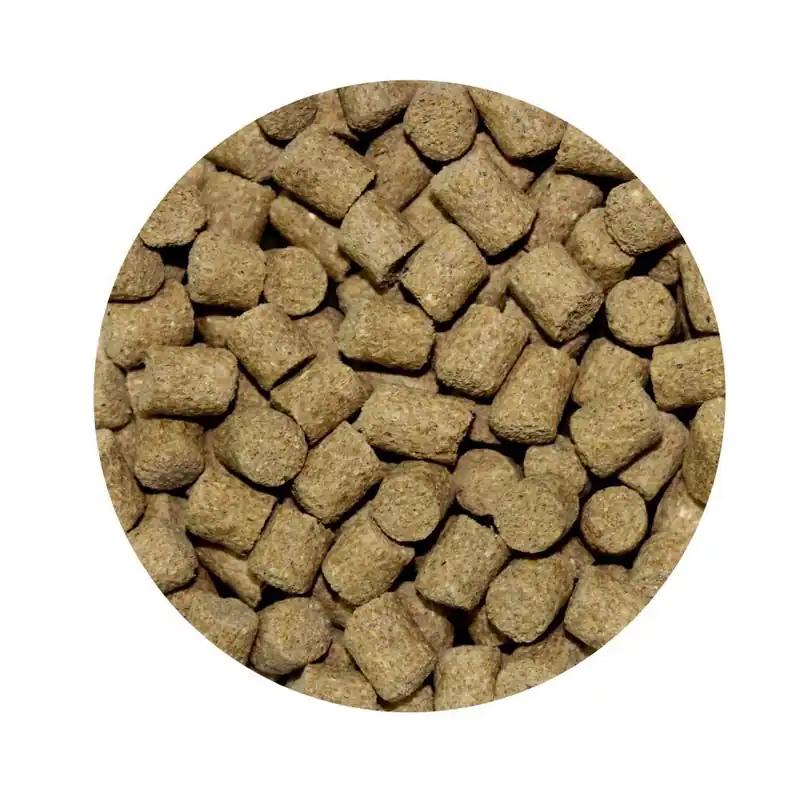 FTM Karper Pellets 6 mm Bestel Nu