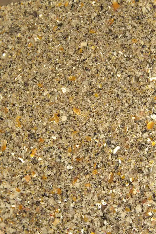 Livebait Karper Lokvoer 1 Kilo Nieuw