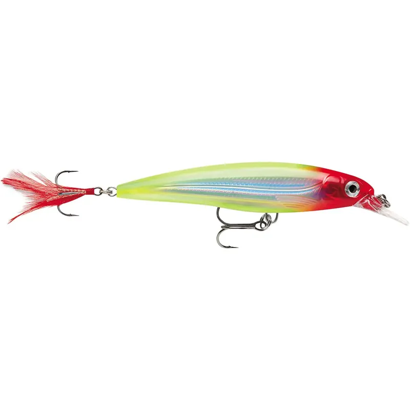 Gecertificeerd Rapala 4" X-Rap 10 Vislokaas clown