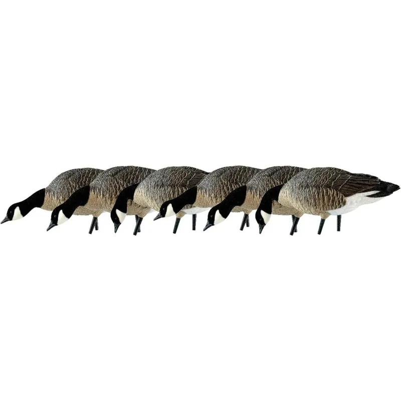 Avian X AXP Lessers: Feeder Pack van 6 Decoys Direct Beschikbaar