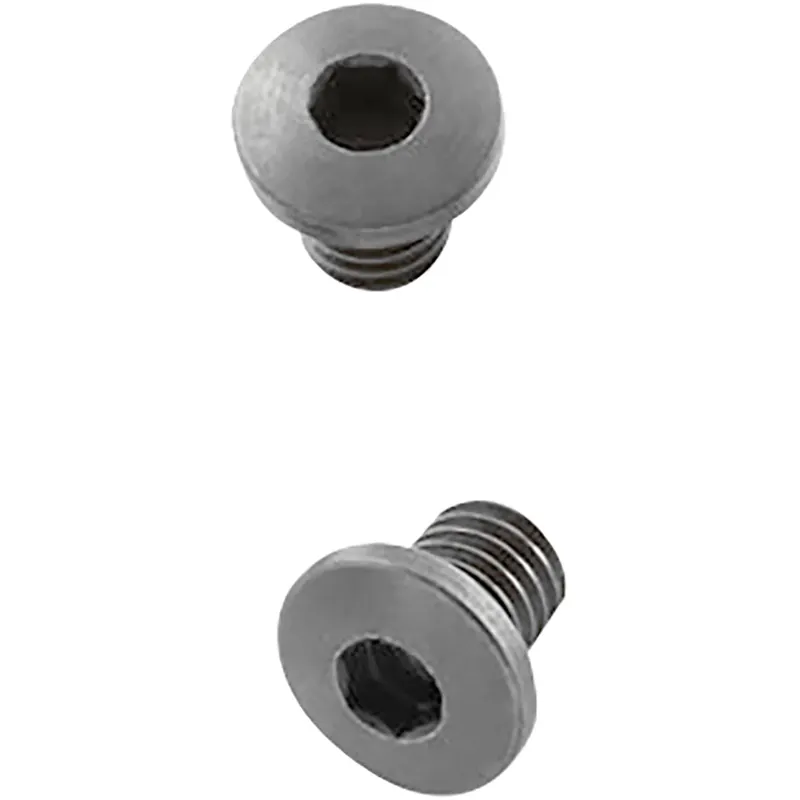 Betrouwbaar Hogue SIG SAUER P239 zeskantschroeven 2-pack - roestvrijstalen afwerking