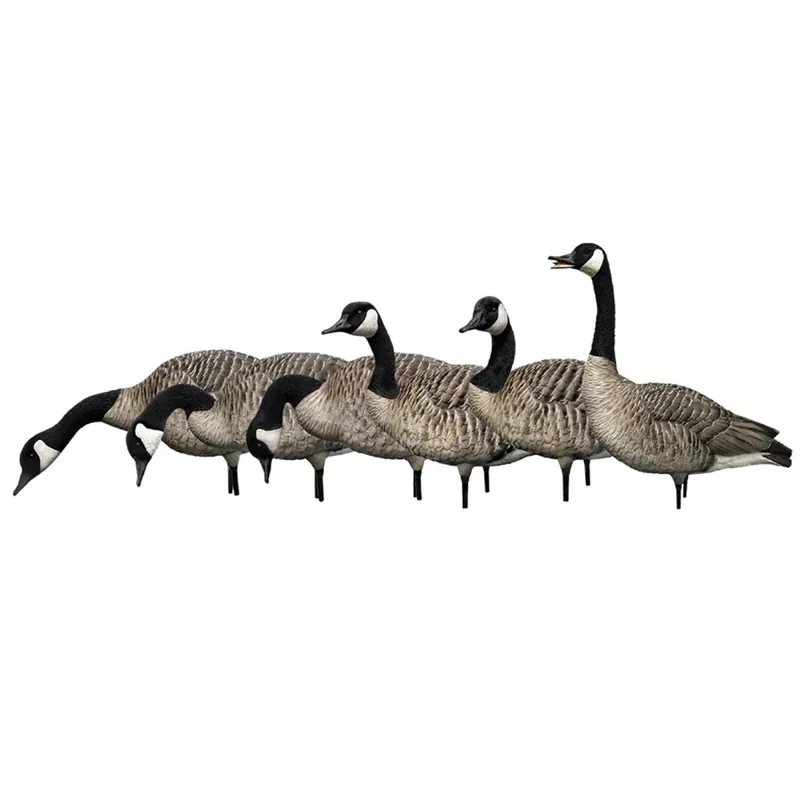 Avian X AXP Honkers: Fusion Pack van 6 lokvogels Express Levering