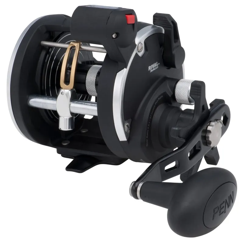Gratis Retour PENN Rival Level Wind 20LWLCLH Trollingreel Met Lijnteller
