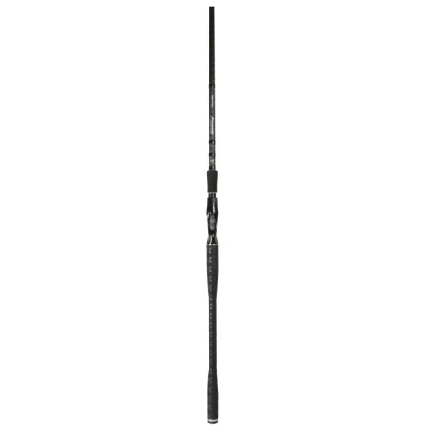 Direct Beschikbaar BFT Lizzard X Stefan Trumstedt Baitcaster Hengel 2.40m (130g)