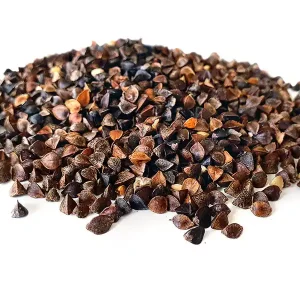 Shop Nu Tijgernotenkopen Boekweit (2.5kg)