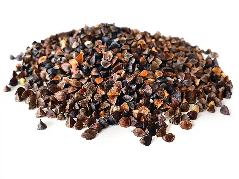 Shop Nu Tijgernotenkopen Boekweit (2.5kg)
