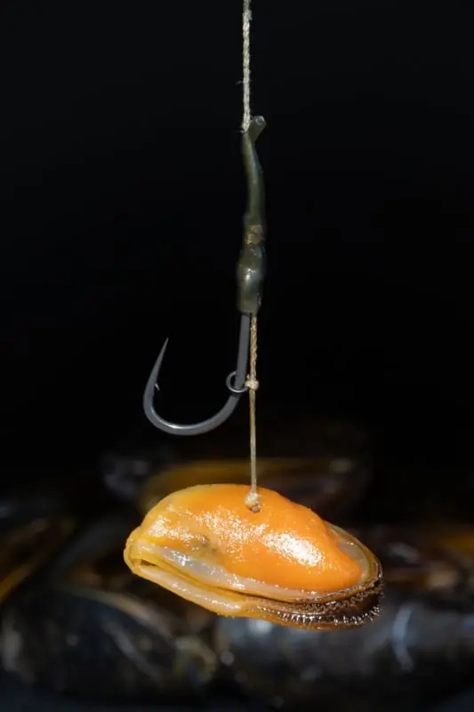Subgrubs Mossel Natural Hookbait (200g) Gratis Retour
