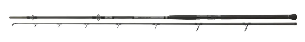 Daiwa Powermesh CF Boje Meervalhengel (150-400g) 2.70m Tijdelijk Beschikbaar