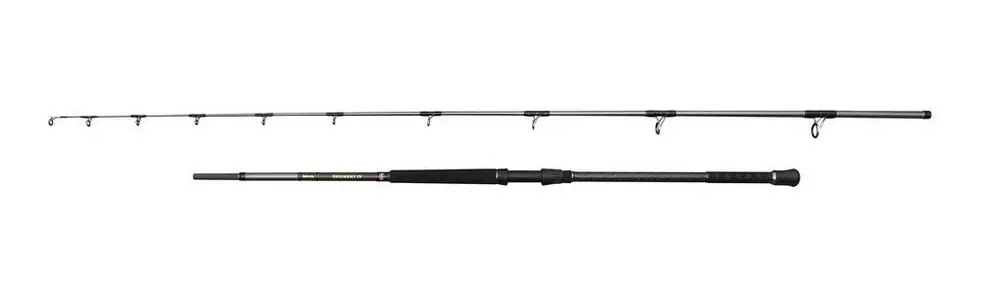Penn Regiment IV Uptide 1002 Boothengel 3.04m (70-300g) Direct Verzonden
