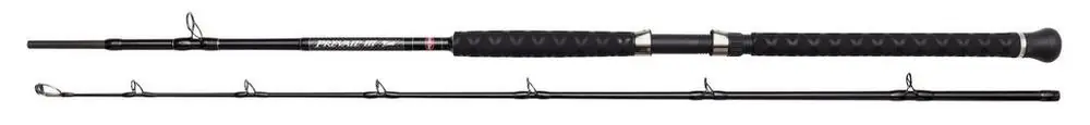 Direct Beschikbaar Penn Prevail III LE 212 Boat Boothengel 12-20lb