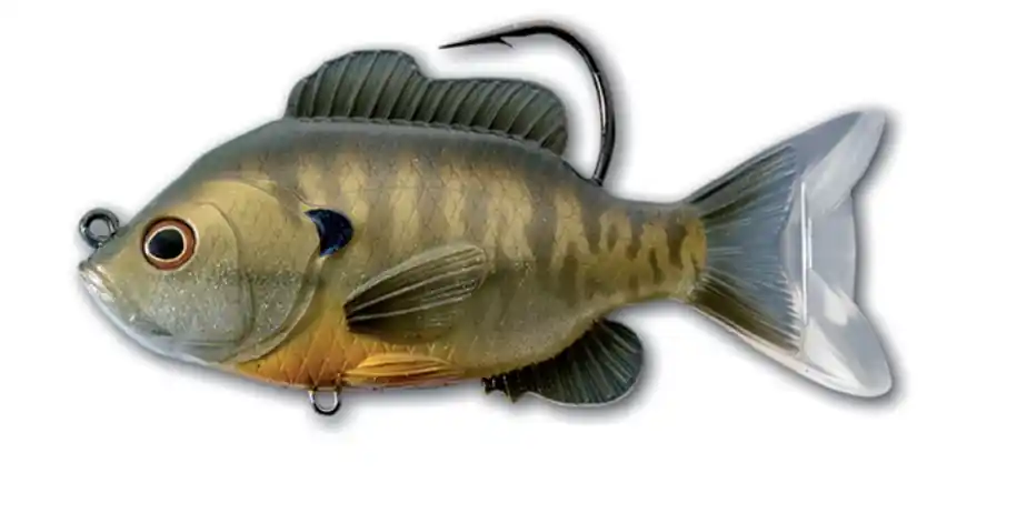 Livetarget Lures Sunfish Swimbait Bronze Bluegill 5/0 8.9cm (14g) Koop Online