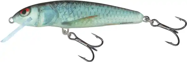 Gereduceerde Prijs Salmo Minnow Sinking 5cm