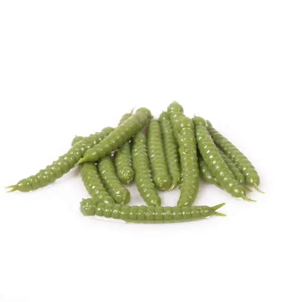 Alleen Vandaag Libra Lures Slight Worm | Olive | 3.8cm | 15 Stuks