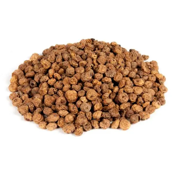 Nu Kopen Evezet Tijgernoten | 5kg