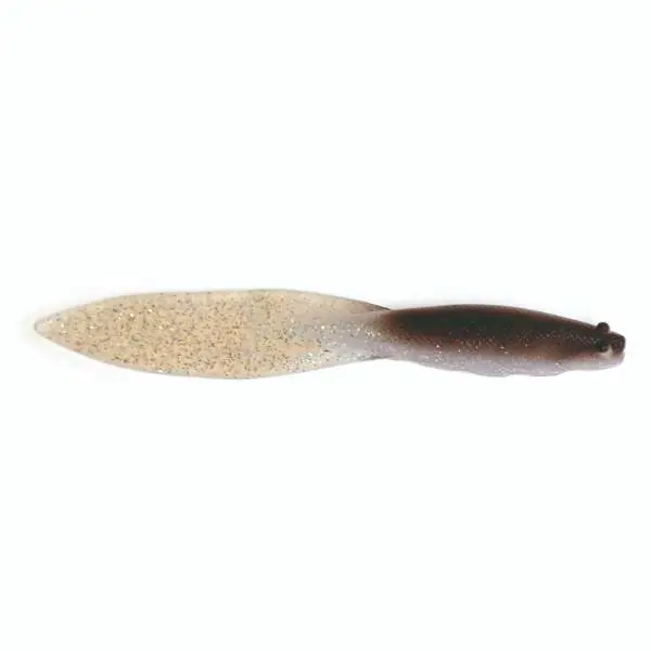 Beavertail 20cm Roach 2pcs Direct Beschikbaar