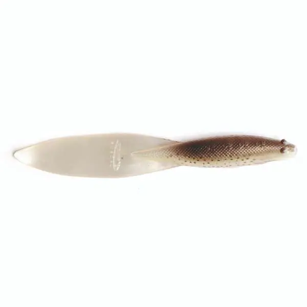 Beavertail 20cm Rainbow Trout 2pcs Must-Have