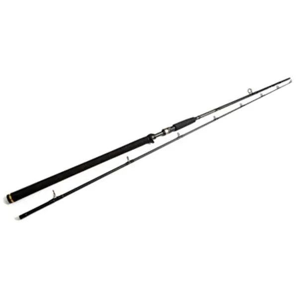 Veilige Betaling Westin W3 Powercast-T 2nd XH | 248cm | 20-80g | 2-Delig