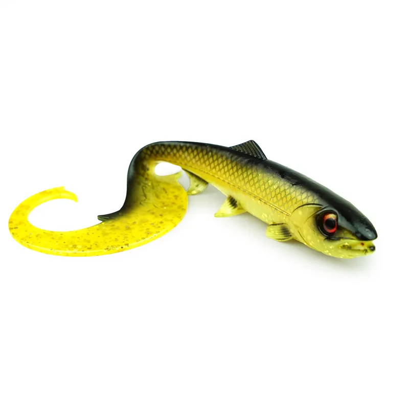 Hostagevalley Curlytail - Gold Jade - 24cm Seizoensaanbieding
