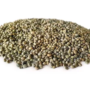 Premium TIJGERNOTEN KOPEN Hennep (2.5kg)