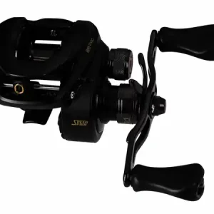 Nu Kopen LEW'S BB1 Pro Baitcast Reel