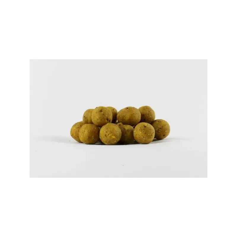 Flitsaanbieding Evezet Boilie | Scopex | 20mm | 10 Kilo