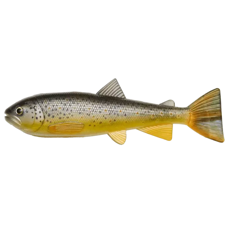 Lage Kosten Trout Kit 15 cm | Brown Trout - 58 Gram