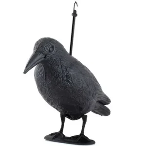 Hete Deal Repest Raven Vogelverjager - Levensechte Roofvogel - 33 x 20 cm