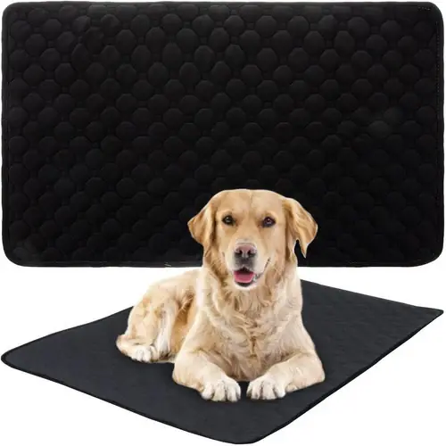 Populair Purlov Kattenspeelgoed Hengel - Met Zuignap en Vogel - 95 cm
