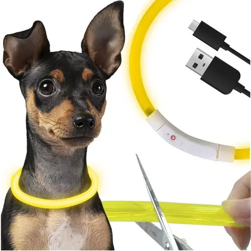 Purlov LED Lichtgevende Halsband - Oplaadbaar - Verstelbaar (20-70 cm) - Geel Hete Deal