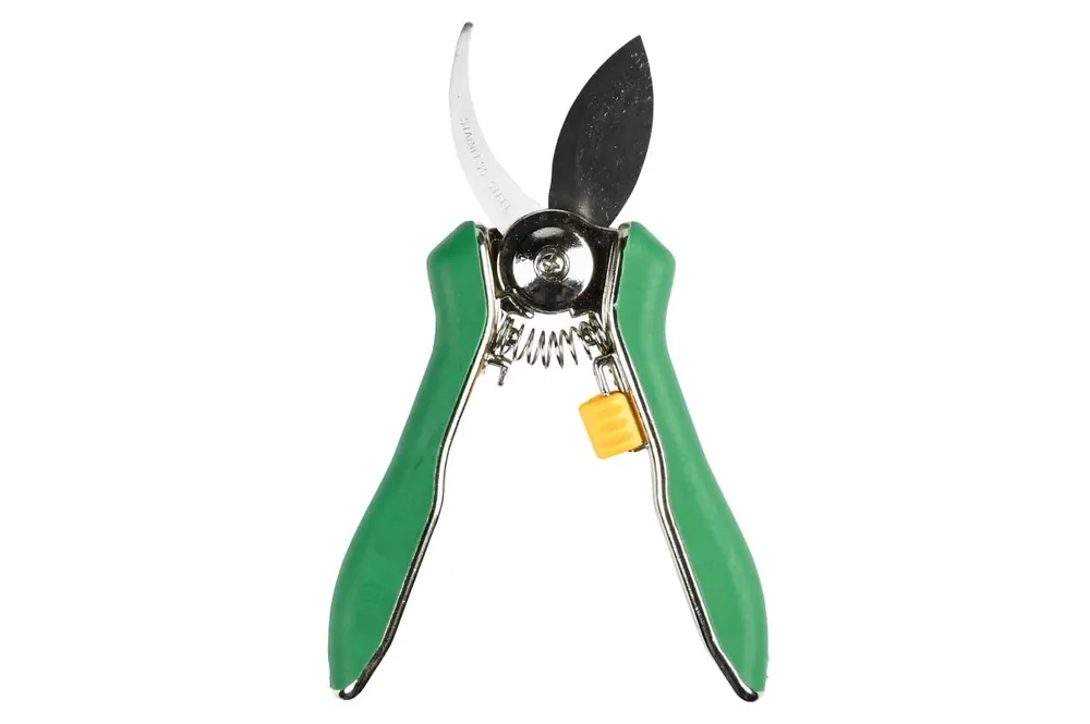 Koop Vandaag Hofftech Bloemensnoeischaar - 15 cm - Krom Blad