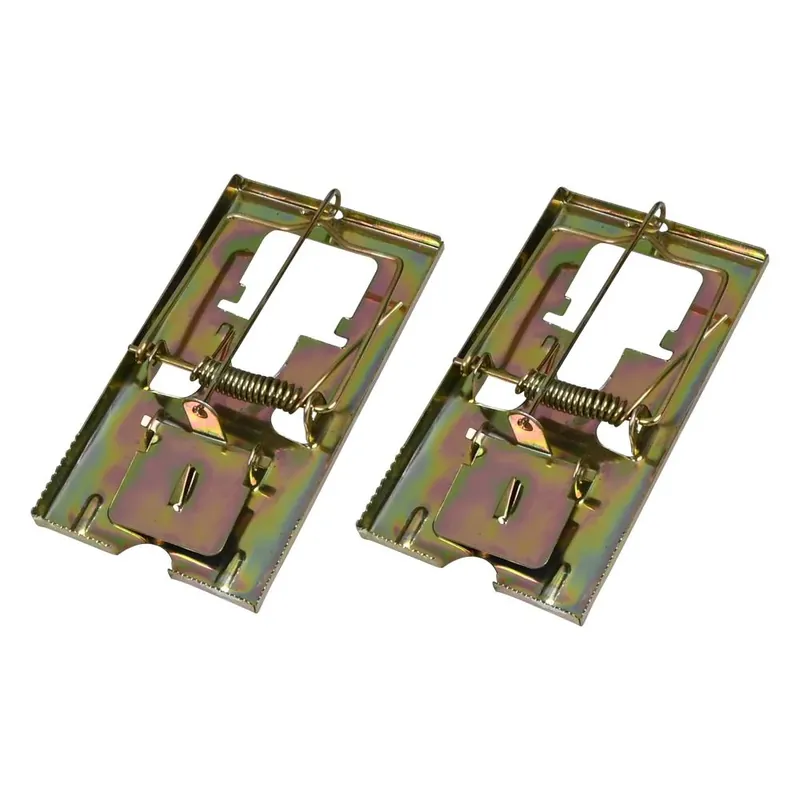 Beperkt Aanbod Benson Metalen Muizenvallen - Set van 2 - 11,5 x 6,1 cm - Ongediertebestrijding